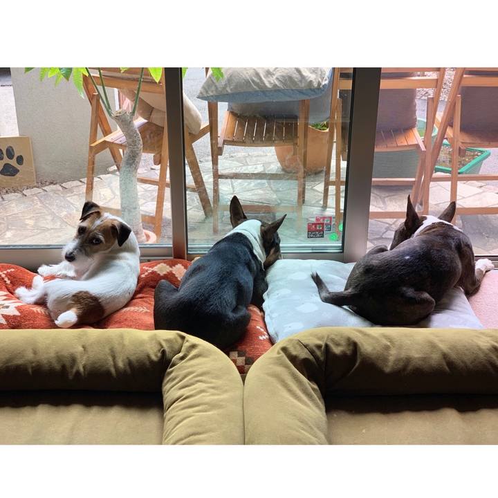 Ece007eb 2cda 4f78 9cca 33fd01766a01 1587268081804