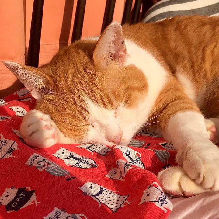 Ece008f8 2668 49fc 90fa 8970a07e9e7e 1581404559987