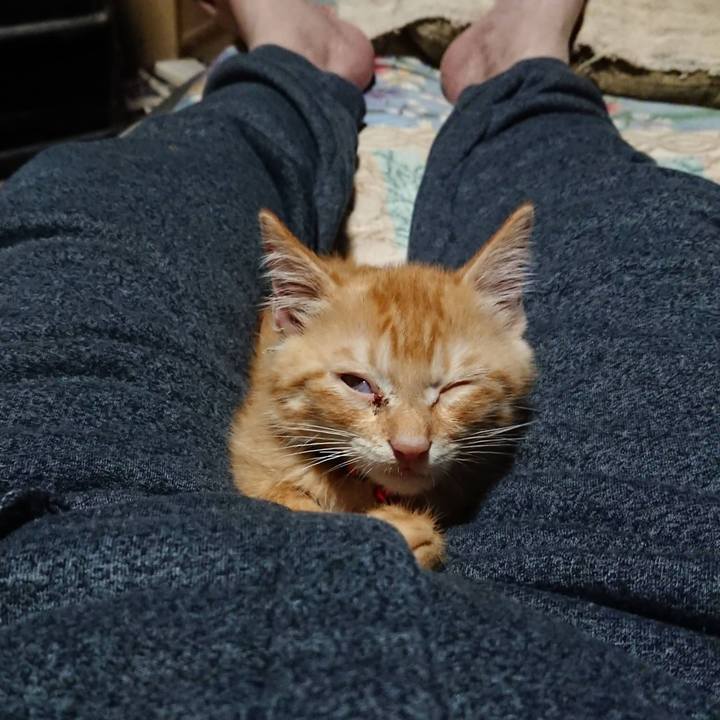 Ece01bb5 491e 4b94 a219 e2ebd2700549 1629636296355