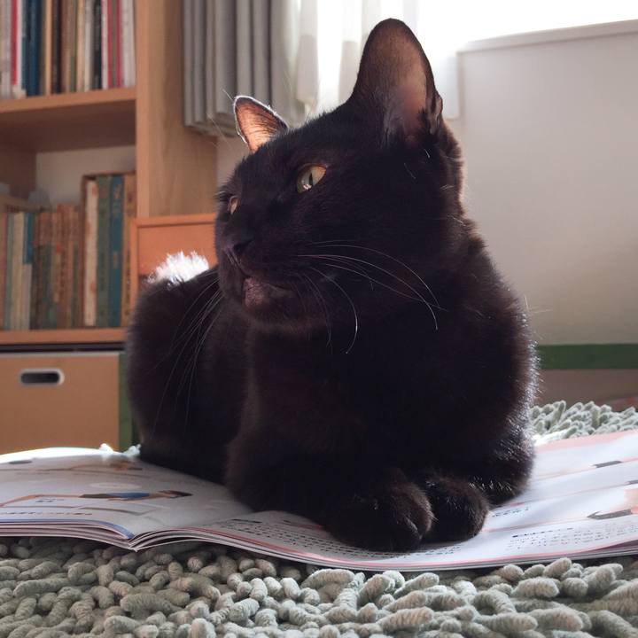 Ece05df5 7f8a 47ac acb8 c892f34d88aa 1516252092203