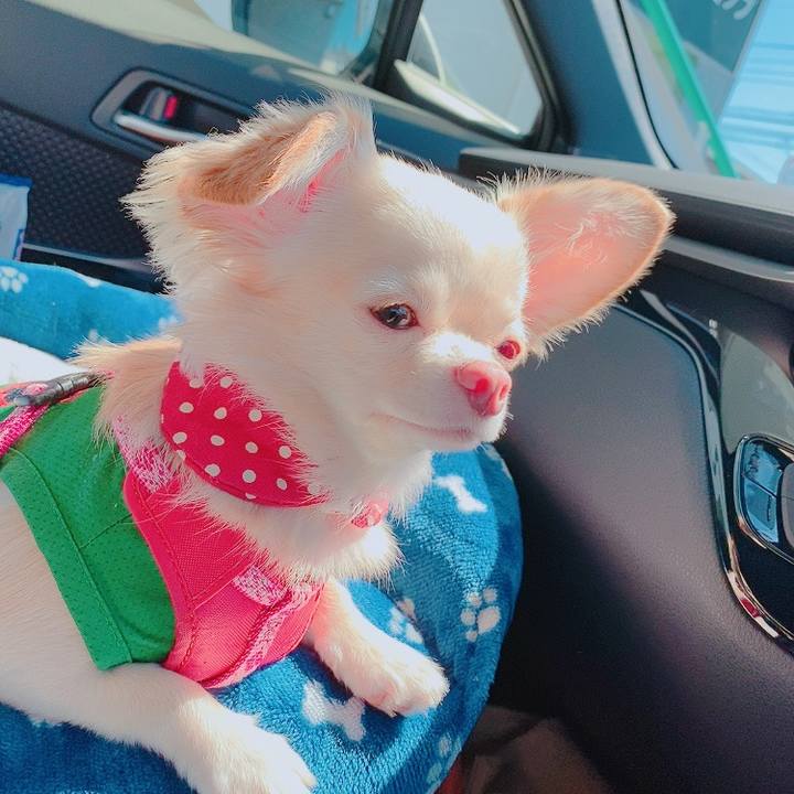 Ece08d2f 4f6e 4692 afbd c525ee67bdf2 1632123063097