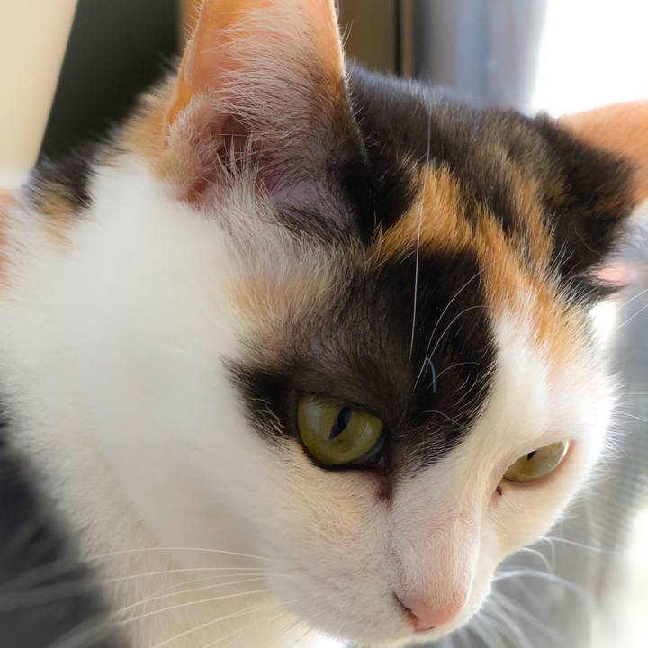 Ece09dcf 1233 4224 85ee bb2360506e9b 1558750486189