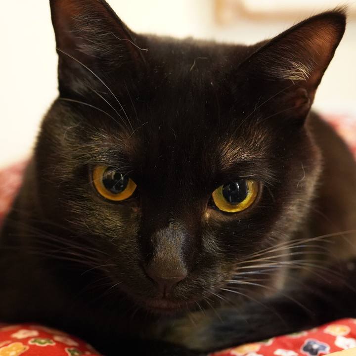 Ece0b5f5 ecf1 4be5 814c 4f45a6e07ac0 1609508674009