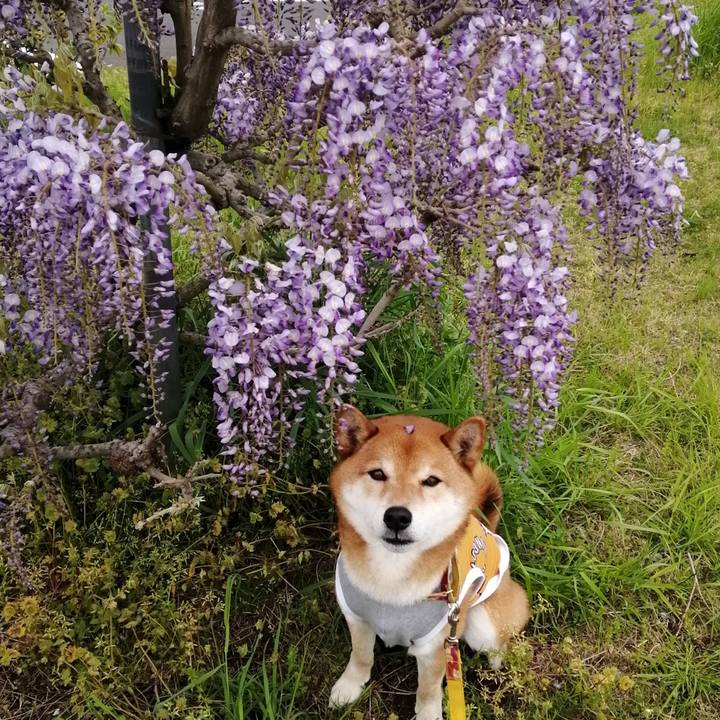 Ece12b6a 8343 441c aaec da0ced085a78 1618633848224