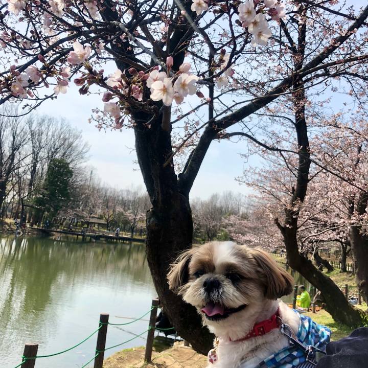 Ece14a9e 4d76 46d3 8b20 1a98930b1fc4 1584841425561