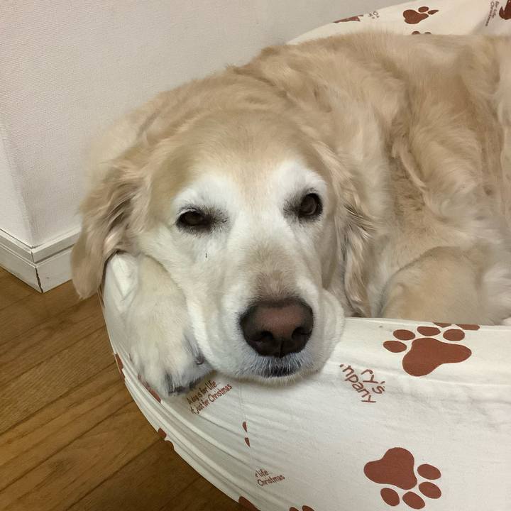 Ece1670b edd7 40f0 9d2d 6b58fa05eef7 1588852587027