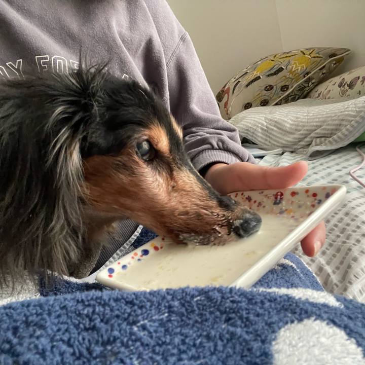 Ece1828a 49b8 48e3 9394 ed7affc0c2b9 1761267875345