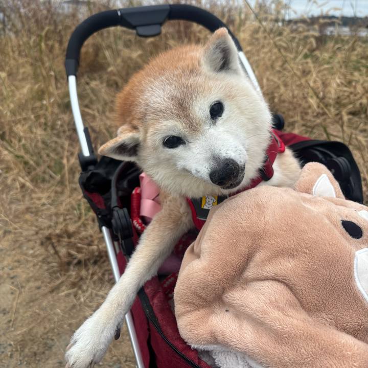 Ece1f48b ff96 4b2a 93e7 2409051e4911 1765586404698