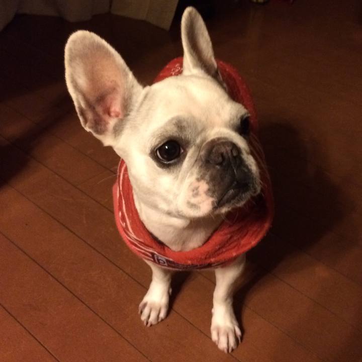 Ece1fee1 4a5b 43ee a49f 65f2475cc1a0 1519477617424