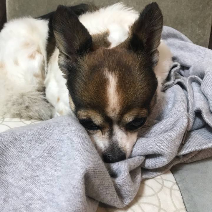 Ece26f80 d23f 416f afe7 91d87729288d 1654002654548