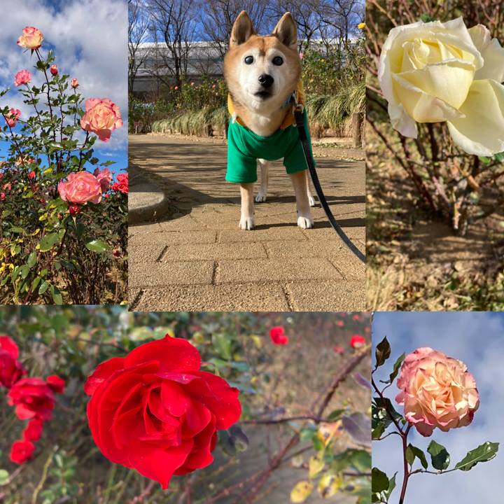 Ece290e9 8213 49f2 97c7 635de0826b3c 1766377424007