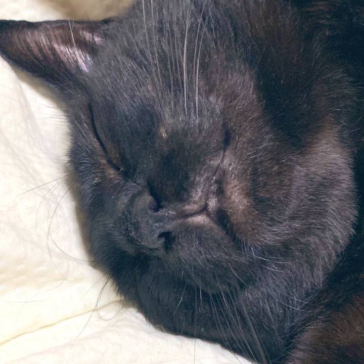 Ece2e3e1 e167 4b9a be89 1b88e4df3e27 1575292200105