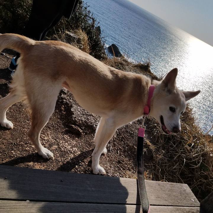 Ece2e74c 8a13 4096 a49a 3bffb48a84ae 1550449026730