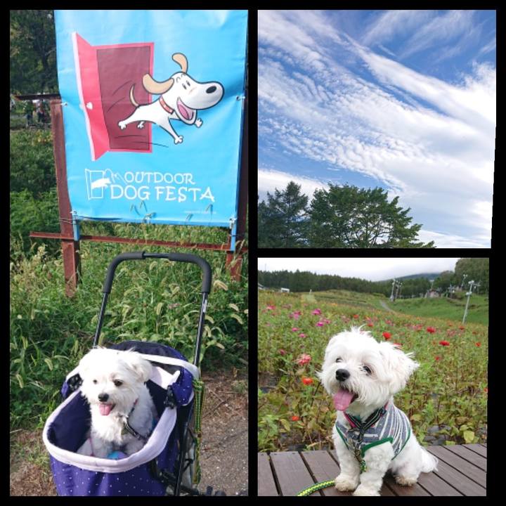 Ece2f12b 44ac 43c7 8cd9 4cd704f57237 1537620571090