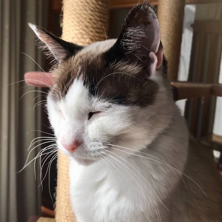 Ece33f18 f3ef 4ad6 b32d 27b206290915 1612252755248