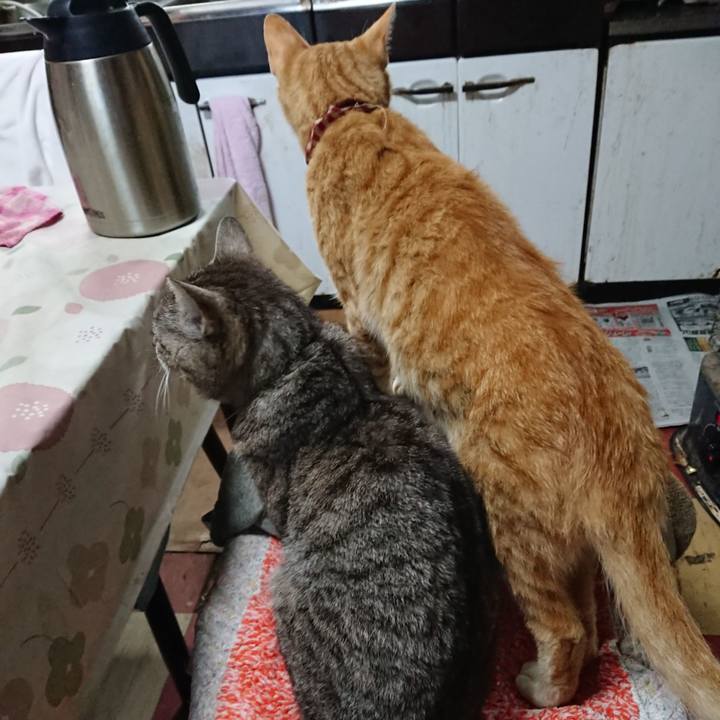 Ece3b3aa f32e 4759 a607 99e93b29b514 1560980687822