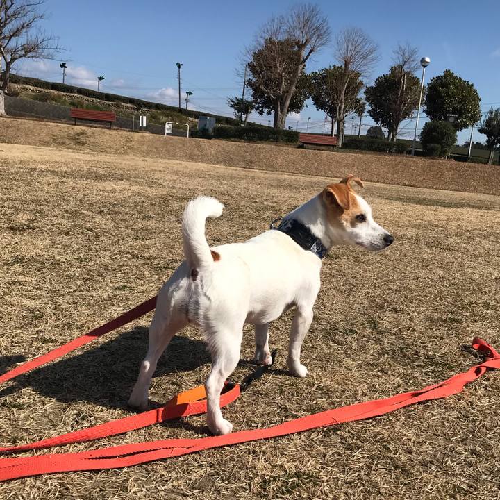 Ece3cbcd 2c4d 4041 8a13 8a15570224d5 1584886625441