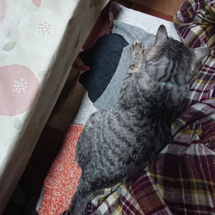 Ece3da66 0710 4e80 b433 c16a08715956 1575676867043