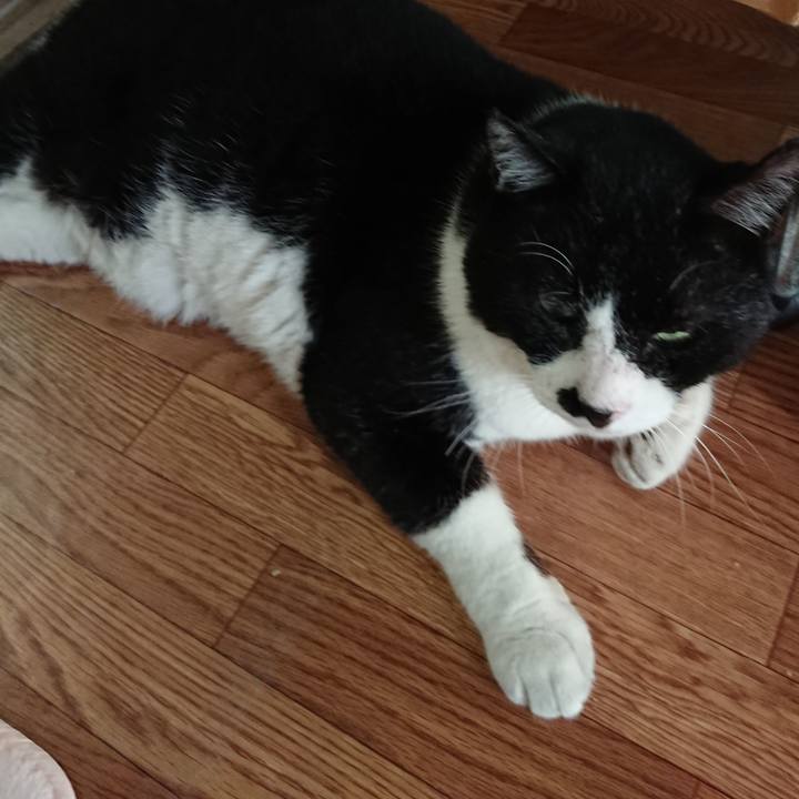 Ece40c30 7df2 43f0 bcea 5aeb405d89a7 1626905394413