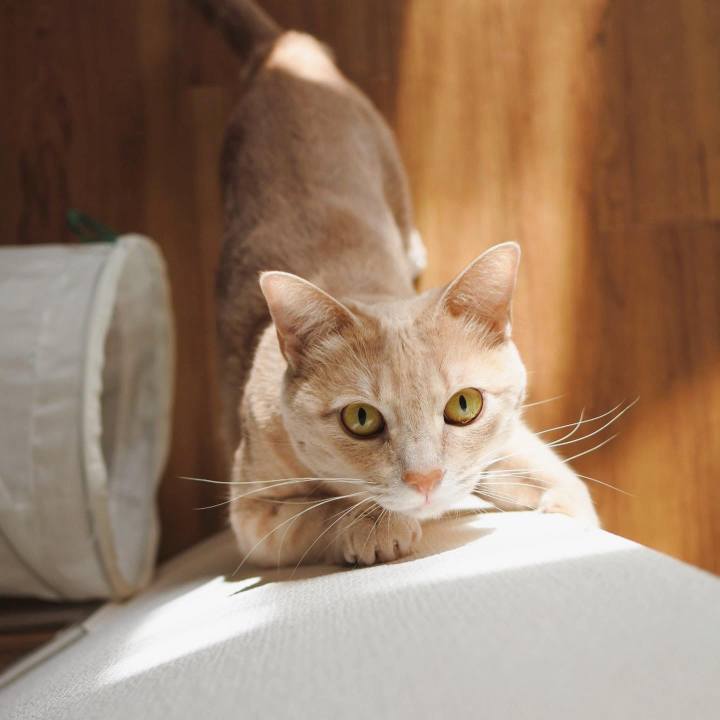 Ece40d3e 97f9 4bf7 9cec ba881a0921d5 1647078891645