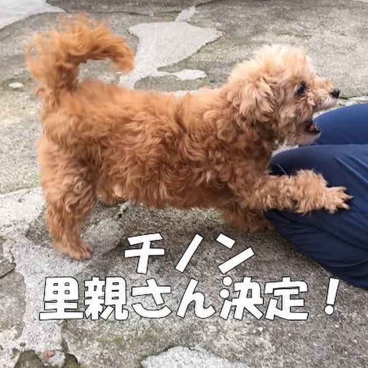 Ece42c3c dccf 4dd3 8bb2 51a615d6019b 1521086944448