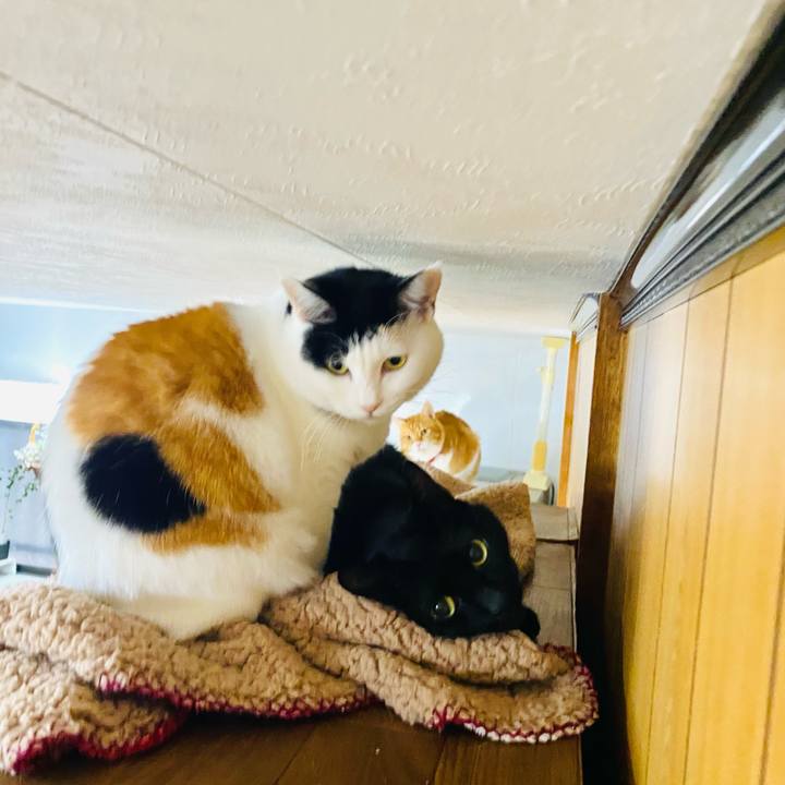 Ece4322d 91aa 4598 8c0d 8e72f829f255 1699918091181