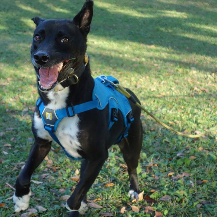 Ece44bc1 a0e1 42b4 a8a4 76cce02d29f7 1604448107430