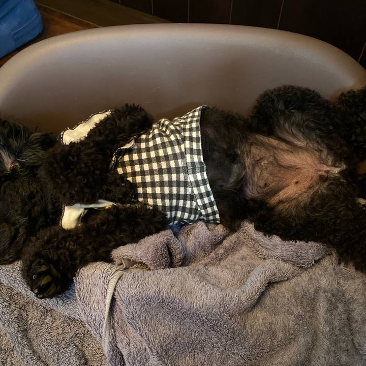 Ece4b440 62d6 48b3 a51f c6563146d134 1588267311909