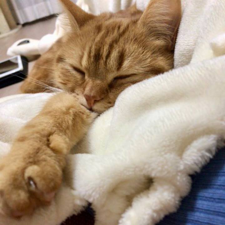 Ece4da27 df99 498d 963b 50bb4ced621d 1518424040158