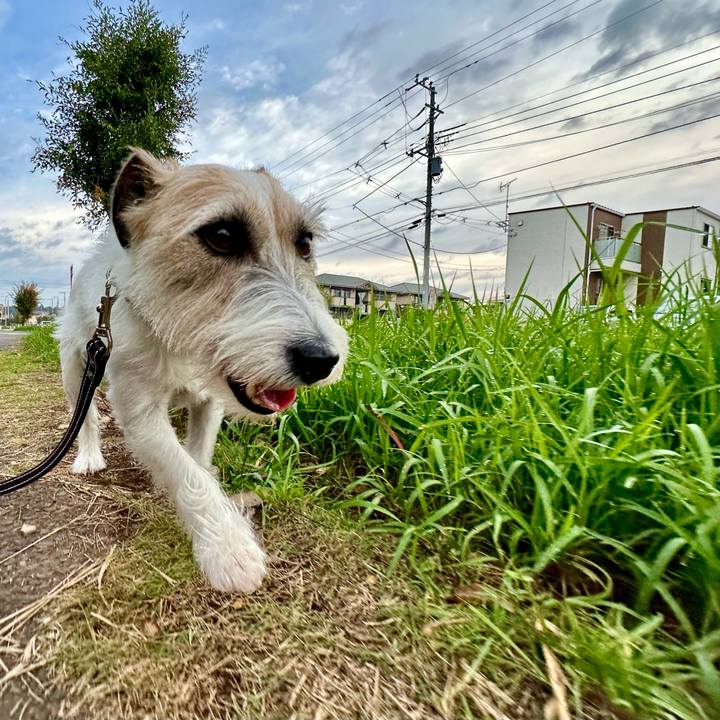 Ece4dbb3 a001 41c1 999a d2553f90bf65 1729932018926