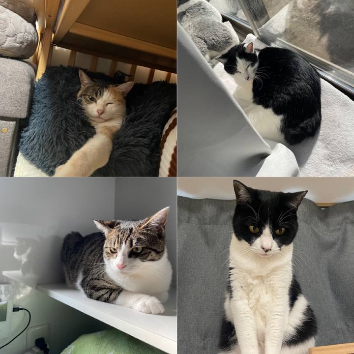 Ece5393f e3e4 47ac a9c8 a9fd6f8e9fc0 1735483491341