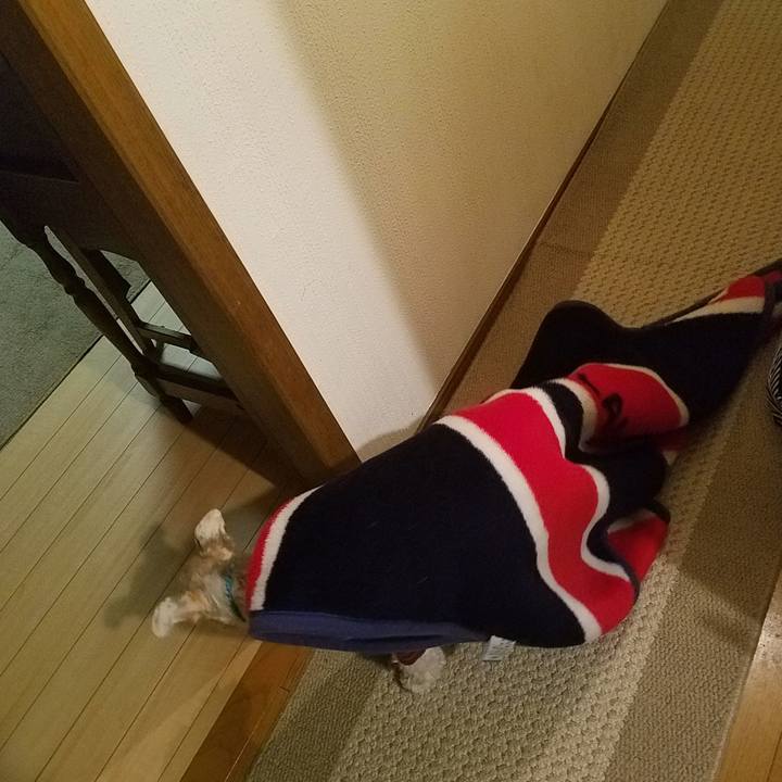 Ece54e86 8994 4d09 8ef6 aef8adb5c3ba 1547978732964