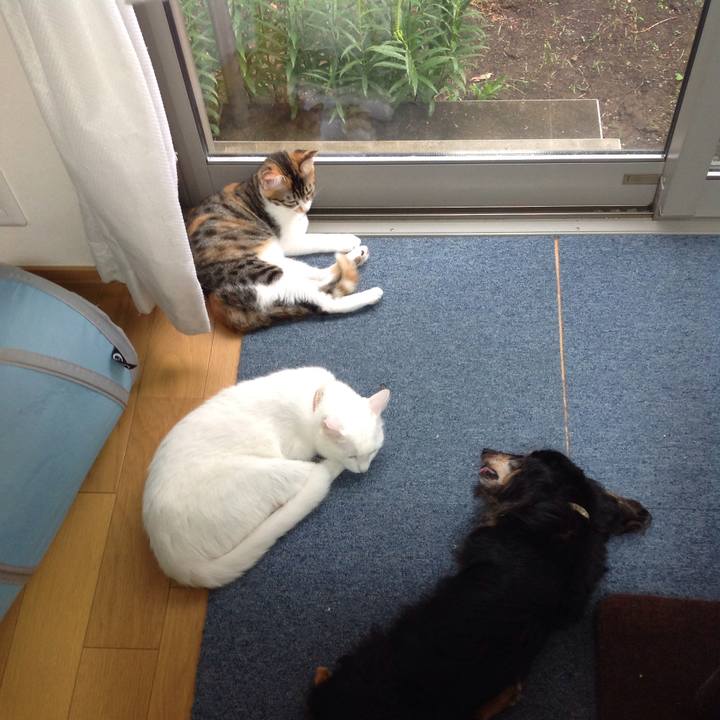 Ece5510e a715 4d83 b928 f9bbbb467f44 1630385147929