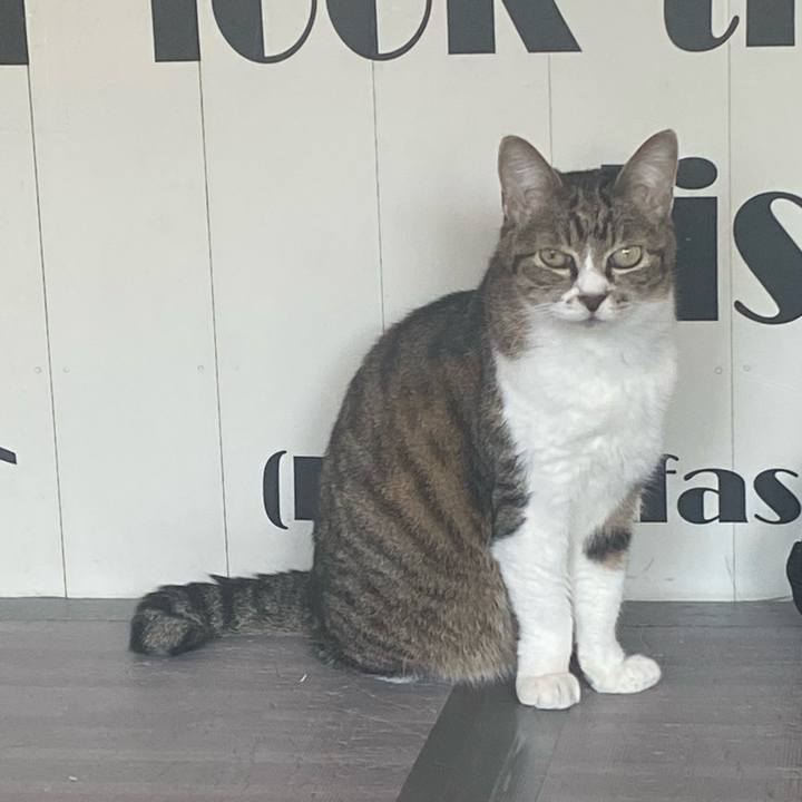 Ece551ff 0c5d 477a a3f5 407ca8786f7b 1683073855623