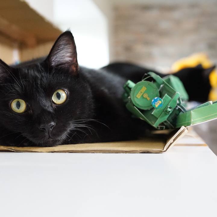 Ece55a71 7ee2 4b3d 971b e19df06ac9de 1535288076827