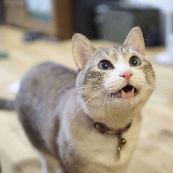 Ece57e1e b1cb 4447 81f9 33dd7969bb28 1620991905989