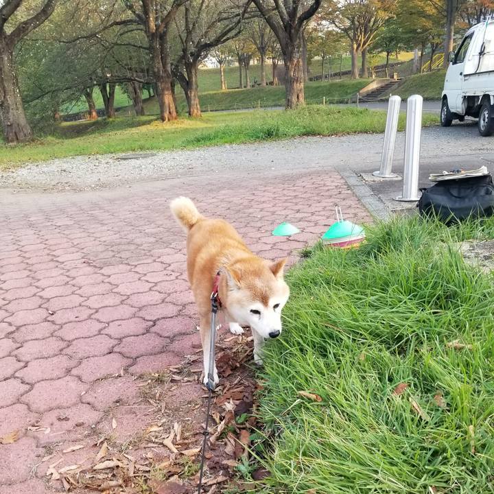 Ece5aa55 e549 4100 94ff 602e72dab65a 1728977390031