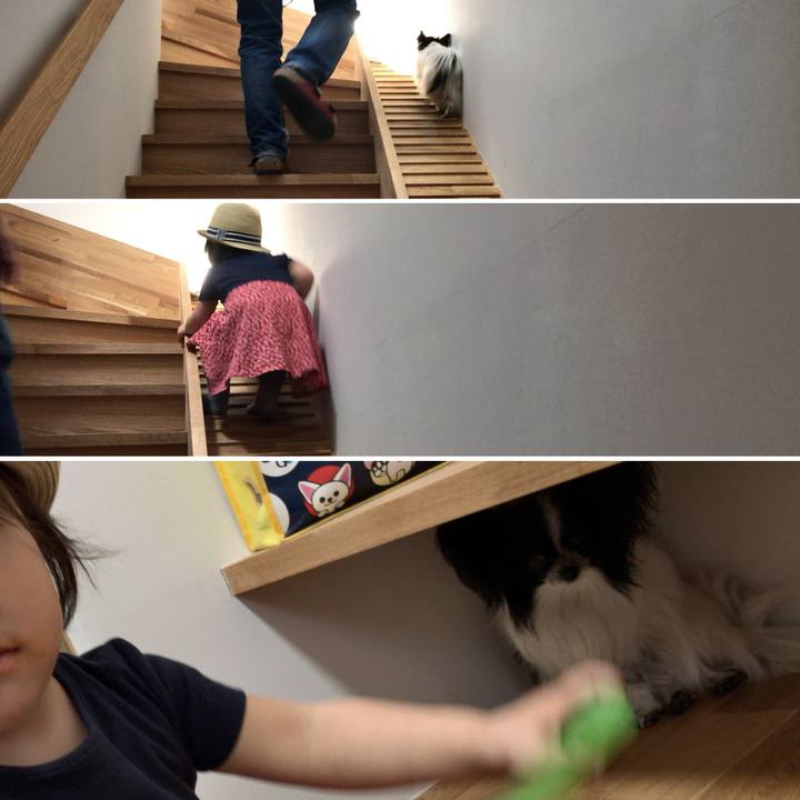 Ece646c9 01f1 4c6b b828 6e6c7e747a2d 1522494012014