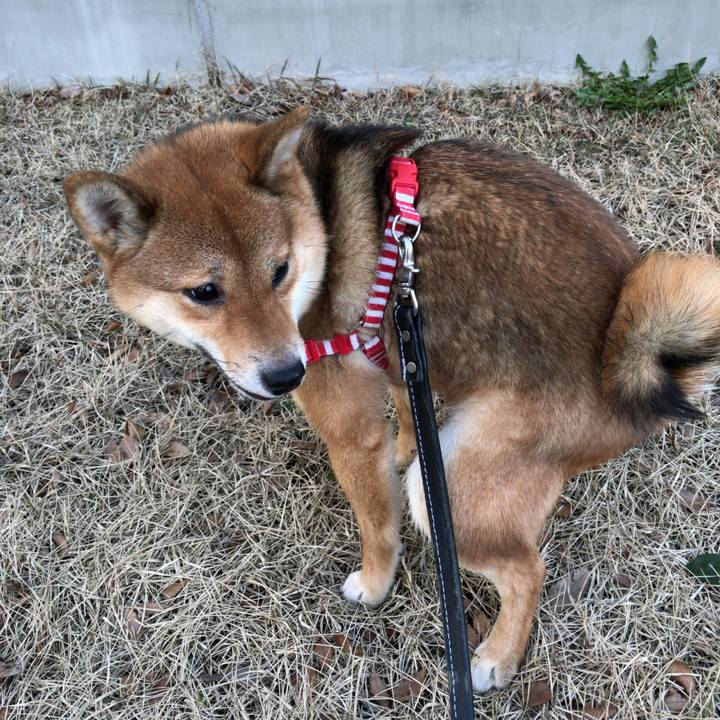 Ece647bd b8e5 4b04 9254 d13226a437b9 1521878501115