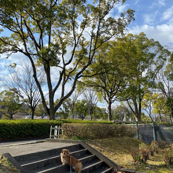 Ece65406 d73f 47f7 a199 46e37dc90ce4 1584663378535