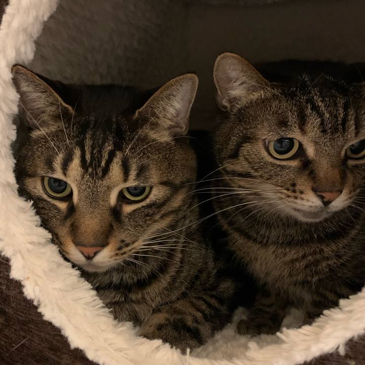 Ece6a982 f805 43a9 9b75 39de47e824f0 1581245085615