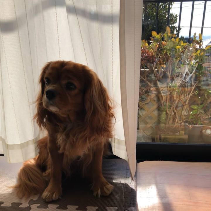 Ece6cce4 34c4 4d55 9b3e 91ce594a3b09 1641602690411