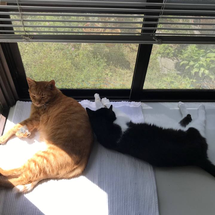 Ece6dee0 7baf 4a04 b367 8e123b395aa3 1558841552996