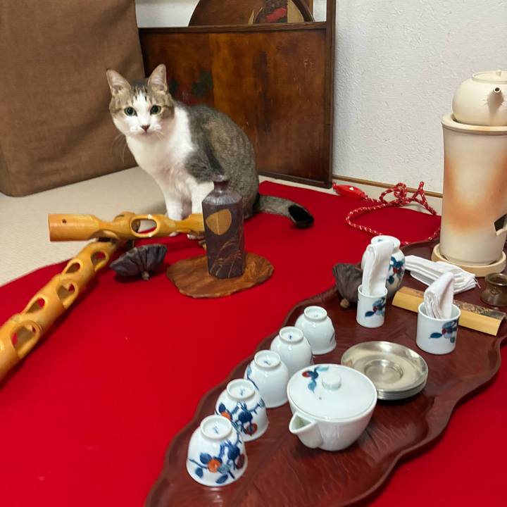 Ece6e711 3532 4d4b a5ef 1d09df2a1f8d 1759586120609