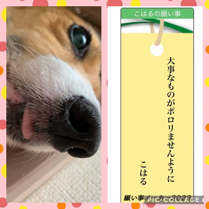 Ece71b06 5c63 4f52 a9a3 7bf9df045a80 1688733791360