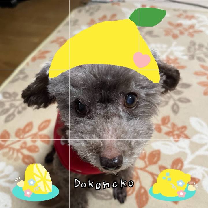 Ece7200a 61c4 4fba 8586 ecfe91d4ad00 1741133616939