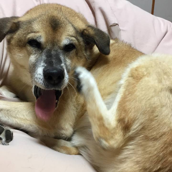 Ece73056 0734 4d93 af92 fc0d825eee41 1573903479815