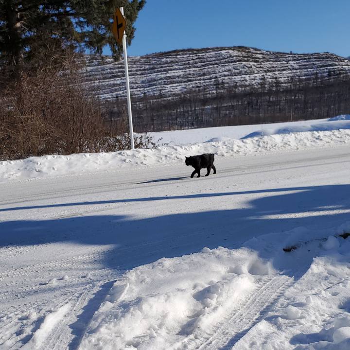 Ece7348a c041 4fdf 8c49 2b4c13a1824d 1703849545280