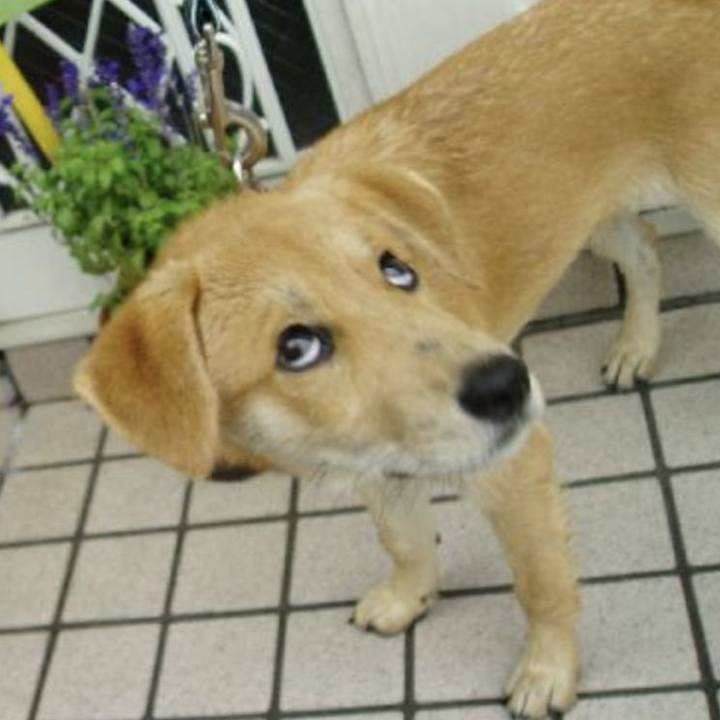 Ece74d54 c5c3 4435 a57e 7c37b1ddabe8 1699680647104