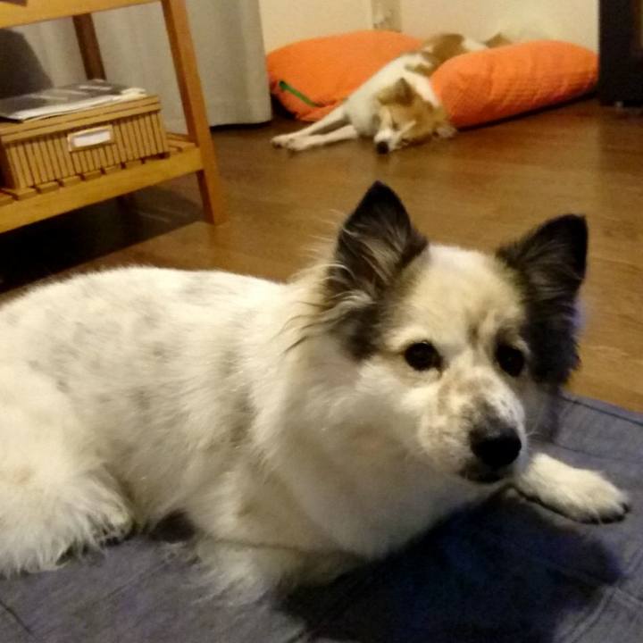 Ece77115 d4b8 4dd0 b04d 84ff839e31ef 1538221611096